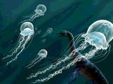 Jellyfish by Gecko