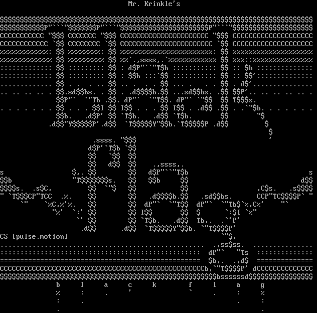 Black Flag by coleslaw