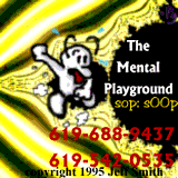 The Mental Playground by Penguin